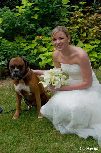 holli_209