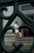 holli_028