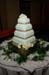 holli_426