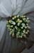 holli_475