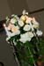 holli_561